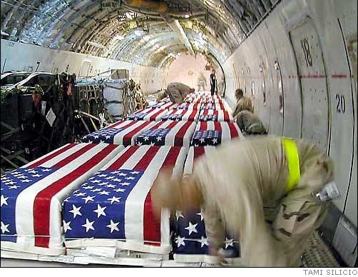flag draped coffins